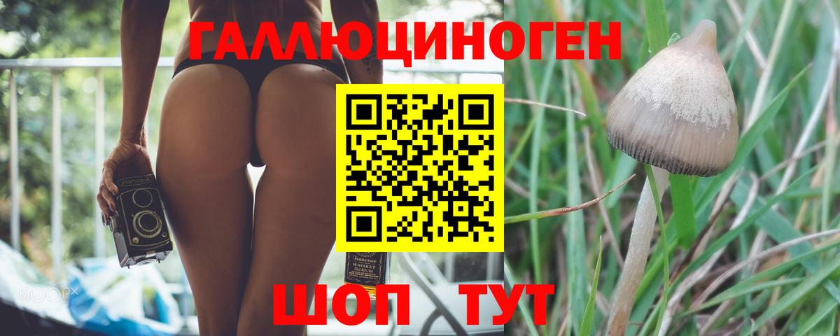 Псилоцибиновые грибы Magic Shrooms  Вход с VPN  Кушва  Псилоцибиновые грибы GOLDEN TEACHER 